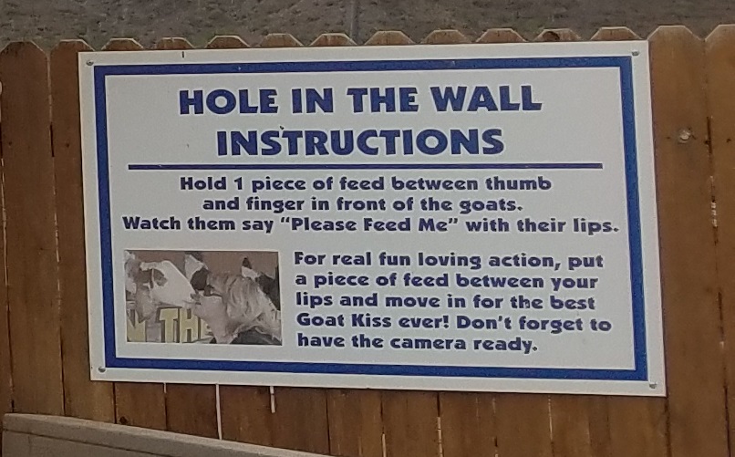 rooster cogburn ostrich ranch hole in the wall gang instructions