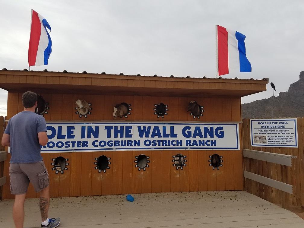rooster cogburn ostrich ranch hole in the wall gang