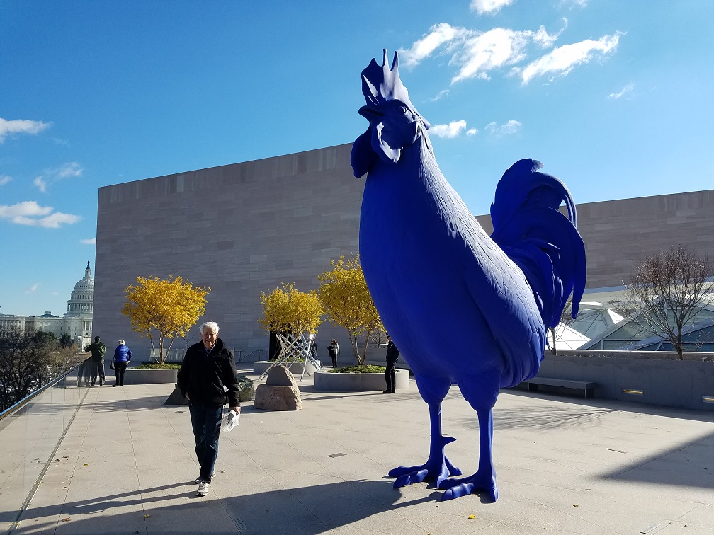 national gallery of art blue cock