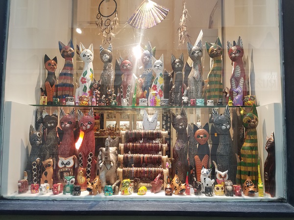 bratislava shop window cats