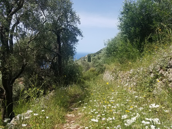 corfu nature mountain path
