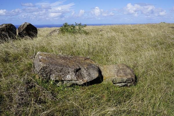 poike moai