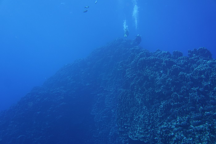 easter island underwater