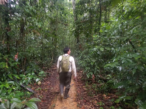 refugio amazonas path