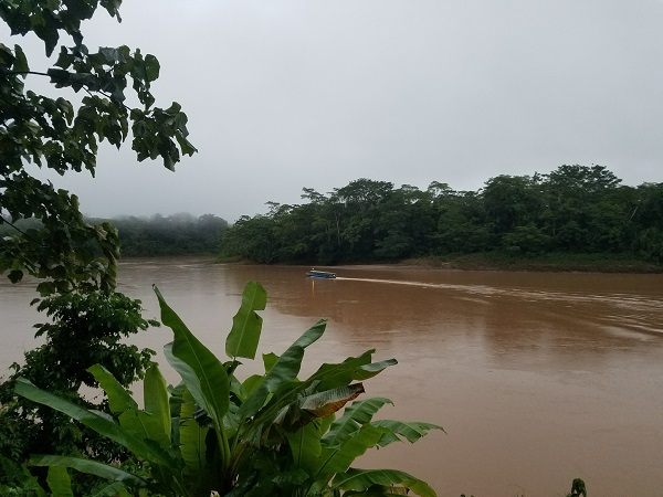 amazon basin tambopata river