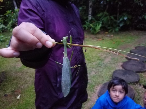 Peru Part 1 Amazon Rainforest Peru Part 1 Amazon Rainforest